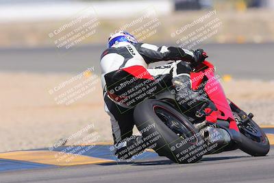 media/Oct-01-2023-SoCal Trackdays (Sun) [[4c570cc352]]/Turn 14 Backside (1120am)/
